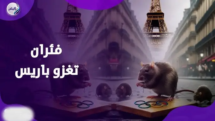 ذعر يجتاح أولمبياد باريس بسبب الفئران 