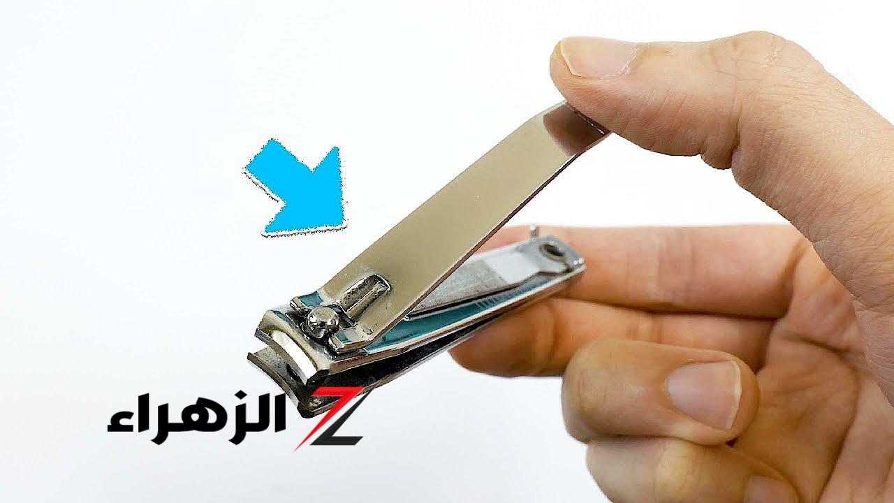 ازاي عايشين كل ده ومنعرفش أهميتها" .. 8 استخدامات مذهلة وغير ...