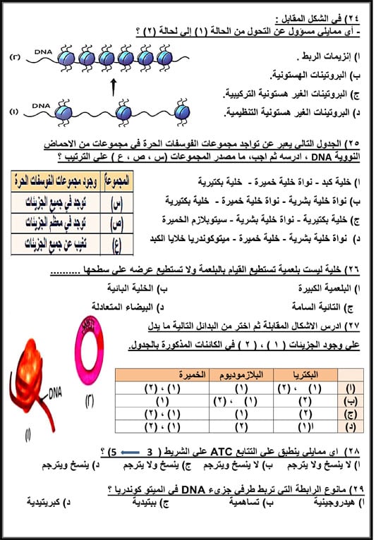 حل أهم 40 سؤالا فى الأحياء لطلاب الثانوية العامة (5)