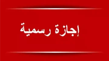 هتشبع إجازات.. اعرف عدد أيام إجازة ثورة 23 يوليو القادمة