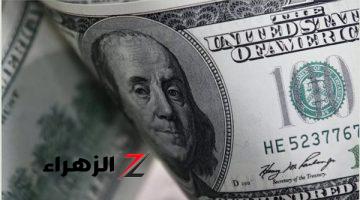 سعر الدولار اليوم أمام الجنيه.. ماذا حدث للعملة للخضراء بعد ساعات من بيان البنك المركزي