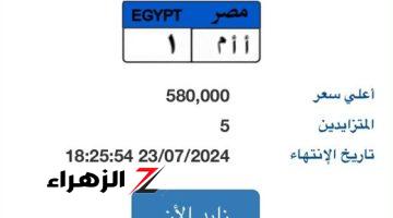 مزاد على لوحة سيارة “أ أ م – 1” المميزة بسعر تخطى نصف مليون جنيه