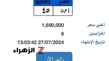 مزاد على لوحة سيارة “أ س د- 45” يرتفع من 440 ألفا لـ مليون و690 ألف جنيه