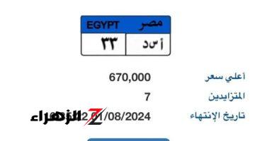 سعر لوحة سيارة “أ س د- 33” المميزة يصل لـ670 ألف جنيه.. و7 يزايدون عليها