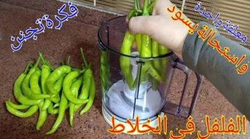 “فكرة بمليون جنيه !!”.. الفلفل الأخضر في الخلاط ضاع عمرنا واحنا بنعمله غلط !!..