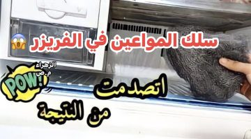 “فكرة بمليون جنيه !!” .. ضعي “سلك المواعين” بالفريزر وشاهدي ماذا سيحدث بعد 5 ساعات .. هتتصدمي من النتيجة