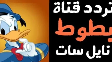 “خلي العيال تفرح ” تردد قناة بطوط الجديد على نايل وعرب سات 2024 batot .. شغليها وسبيهم يتسلوا طول النهار!