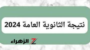 نتيجة الثانوية العامة 2024 برقم الجلوس .. خطوات الحصول عليها واللينك الرسمي فور ظهورها