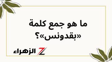 الاجابة التي عجز الجميع عن معرفتها .. ماهو جمع كلمة ” بقدونس ” في اللغة العربية الفصحى .. اللغز الذي حير العمالقة!!