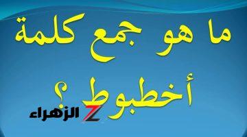 اللغزالذي حير الملايين في مصر .. جمع كلمة أخطبوط في اللغة العربية …. هل ورد هذا السؤال بامتحان الثانوية بمصر؟!!