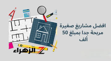 فكرة عبقرية بمليون جنية .. مشروع مضمون ب 50 الف تصل أرباحه لـ 10 ألاف جنيه شهريا .. أوعي تضيع الفرصة منك!!