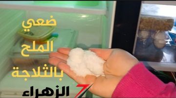 “فكرة جهنمية هتريح كل ست بيت” .. ضعي الملح داخل الثلاجة وهتشكريني عمرك كله .. مش هتصدقي اللي هتشوفيه بعنيكي !!!