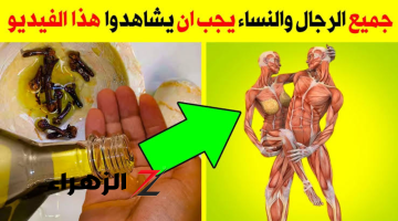 «حياتك الزوجية ستتغير».. اخلطي القرنفل مع زيت الزيتون ليلة واحدة تحل مشكلة يعاني منها الكثير ولن تستغني عنها ليله واحدة.!!