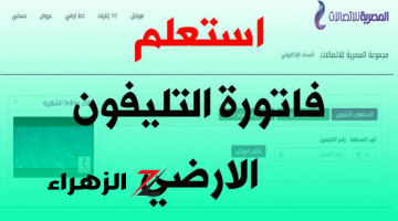 «قبل إيقاف الخدمة».. تعرف على خطوات الاستعلام عن فاتورة التليفون الارضي 2024