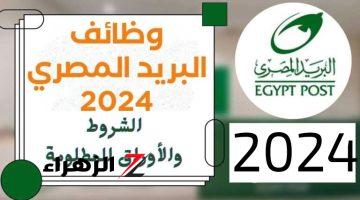 عاجل لجميع المؤهلات|| طريقة الاستعلام عن نتيجة مسابقة البريد المصري 2024 وشروط وطريقة التقديم