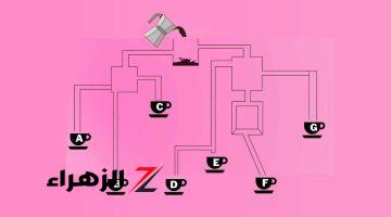 “شغل دماغك”.. أمامك 15 ثانية فقط لمعرفة أي كوب قهوة سيمتلئ أولاً!