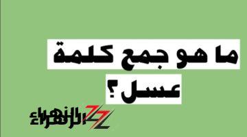 لغز للعباقرة فقط” .. هل تعلم ما هو جمع كلمة عسل في اللغة العربية؟ .. تبقى عبقري لو عرفت تحلها!!