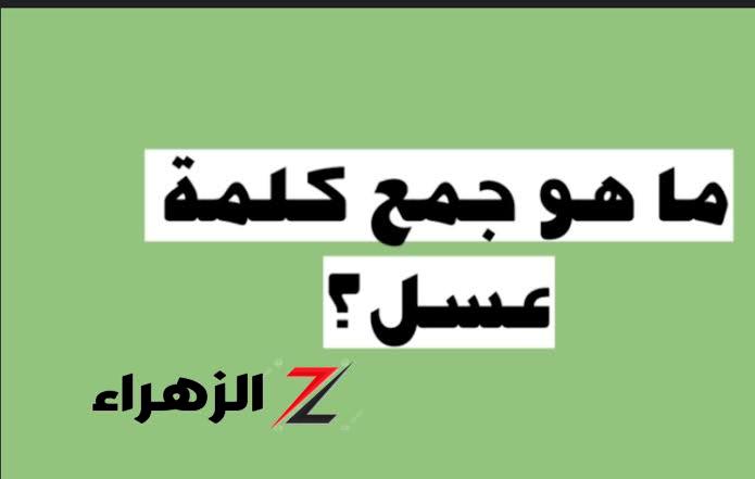 لغز للعباقرة فقط” .. هل تعلم ما هو جمع كلمة عسل في اللغة العربية؟ .. تبقى عبقري لو عرفت تحلها!! - بوابة الزهراء الإخبارية