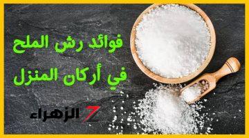 “مش هتبطلي تعملي كده كل يوم”.. تعرف على أبرز الفوائد الخاصة برش الملح في أركان المنزل.. فعالة 100%..!!!