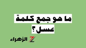 اللغز الذي حير جميع مدرسي اللغة العربية”..هل تعرف ما هو جمع كلمة {عسل} في اللغة العربية؟ .. لو جينيس مش هتعرف تتوقعها!