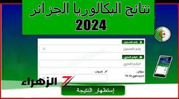 «مبروووك مبروووك».. إليكم رابط استخراج نتائج البكالوريا الجزائر 2024