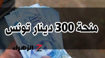 “هتبقي من المحظوظين ولا”.. تعرف على خطوات التسجيل في منحة 300 دينار تونس 2024