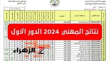 «نتائج المهني».. رسمياً ظهور نتيجة السادس المهني 2024 العراق الدور الأول جميع الفروع