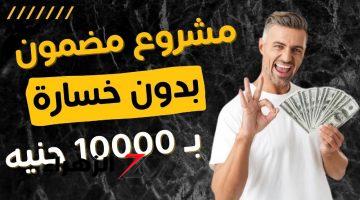 فكرة تساوي مليون جنيه مشروع مضمون 100% حقائق مكاسب 10000 جنيه.. فرصة متضيعهاش