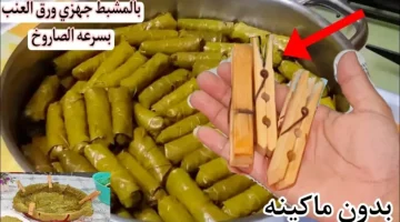 بمشبك الغسيل.. طريقة عبقرية هتخليكي تلفي المحشي بسرعة الصاروخ وبكمية كبيرة هتوفري وقتك ومجهودك