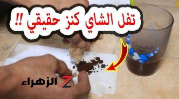 تفل الشاي كما لم تعرفه من قبل|| كنز فى منزلك هترجعى بالعمر 20 سنة لورا؟!!