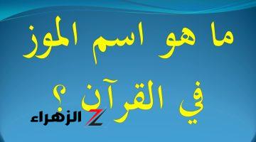 « طعام اهل الجنة ».. ما هو الأسم الحقيقي لفاكهة الموز المذكور في القرأن؟؟ فوائد عديدة غير متوقعة في الموز لم تكن تعلمها!!تعرف عليها هتندم لو معرفتهاش