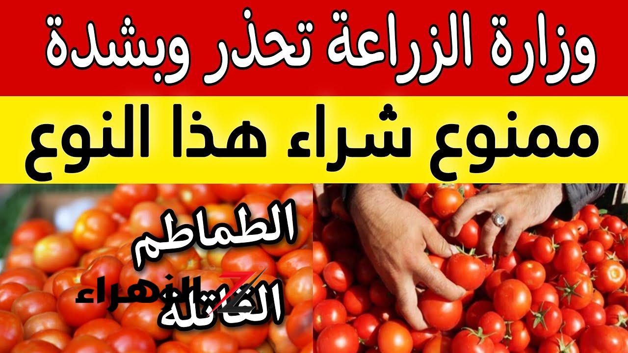 تنبيه عاجل من الصحة"...هذا النوع من الطماطم لا تقوم بشرائه ...