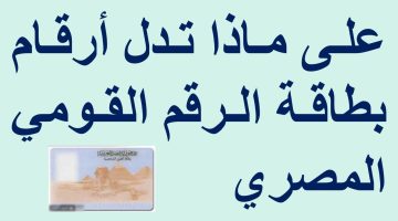 هل تعلم معنى الــ 14 رقم على بطاقة رقمك القومي؟.. معلومات هتفاجئك