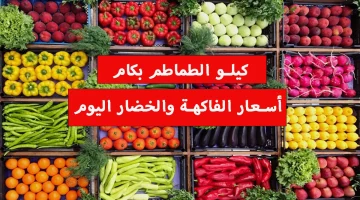 أسعار ” الخضروات والفاكهة ” اليوم السبت 27-7 في الأسواق المحلية .. كيلو الطماطم بكام ؟