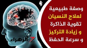 وداعا للنسيان من النهارده.. وصفة لتنشيط الذاكرة وعلاج الانيميا هتزيد الذكاء لاولادك لازم تعرفيها 