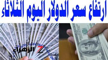 تخطى حاجز 48 جنيه .. ارتفاع سعر الدولار في 10 بنوك بنهاية تعاملات الثلاثاء 16 يوليو