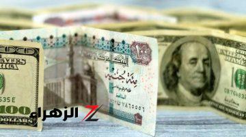 ارتفاع طفيف في سعر صرف الدولار الأمريكي أمام الجنيه المصري اليوم 16 يوليو