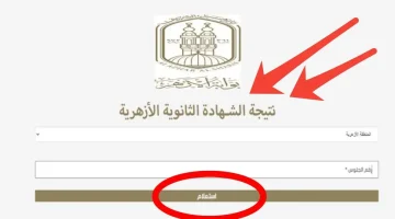 احصل عليها الآن.. رابط نتيجة الثانوية الأزهرية 2024 بالاسم ورقم الجلوس عبر بوابة الأزهر الإلكترونية azhar.eg وكيفية توزيع الدرجات