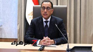 الخميس 25 يوليو إجازة رسمية بمناسبة ذكرى ثورة 23 يوليو