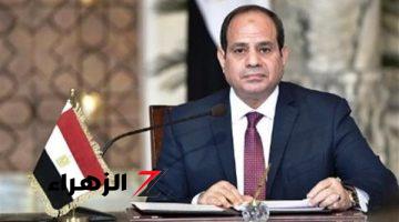 السيسي يتسلم أوراق اعتماد 12 سفيرًا جديدًا لدى مصر