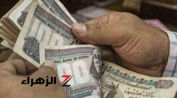 الفرحة مش سيعاهم.. بشرى سارة من الحكومة للعاملين بالدولة بشأن زيادة الأجور والبدلات 2024