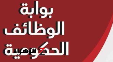 تعيينات حكومية.. فرصة ذهبية للحصول على وظيفة خالية بمرتبات مجزية