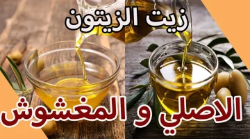 6 علامات تساعدك على التفريق بين زيت الزيتون الأصلي والمغشوش .. عشان ماحدش يضحك عليكي !!