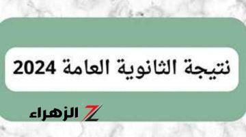 شوف نتيجتك.. رابط الاستعلام عن نتيجة الثانوية العامة 2024 فورا ظهورها