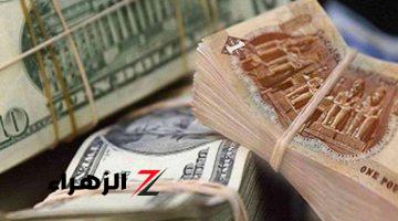 سعر الدولار أمام الجنيه اليوم الثلاثاء 30 يوليو 2024 قبل حسم الفائدة