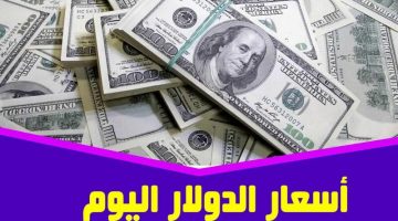 عامل كام انهارده؟.. مفاجأة جديدة بسعر الدولار أمام الجنيه اليوم الثلاثاء 23-7-2024