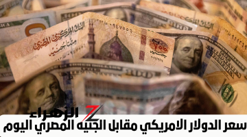 بعد قرار البنك المركزي.. مفاجأة في سعر الدولار اليوم | بشرة خير لكل المصريين