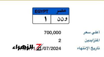 سعر لوحة سيارة “و ن ن – 1” المميزة يقترب من المليون جنيه بالمزاد