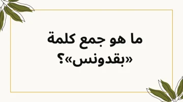 اللغز اللذي حير ملايين الطلاب!!.. الطلاب كلهم محتارين جمع كلمة بقدونس في اللغة العربية السؤال الذي أثار الجدل الاجابة صادمة!!