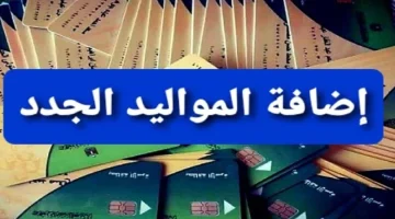 «ضيف اطفالك وزود تموينك ياعم الحج»..خطوات إضافة المواليد على بطاقة التموين لهذا الفئات 2024 وحقيقه زيادة 100 نصيب الفرد!!